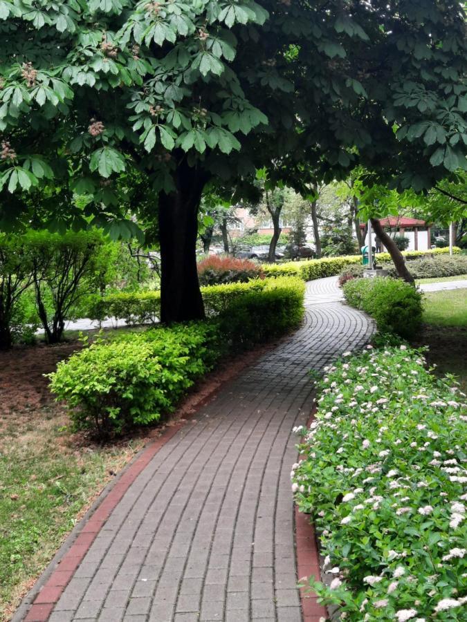 Apartament W Centrum Wroclawia Breslávia Quarto foto