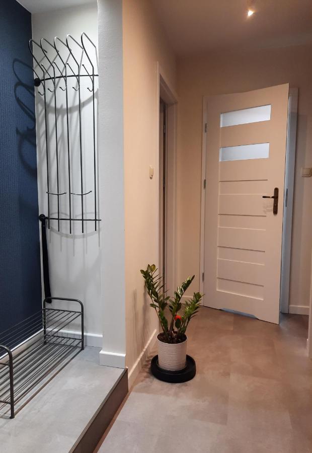Apartament W Centrum Wroclawia Breslávia Exterior foto